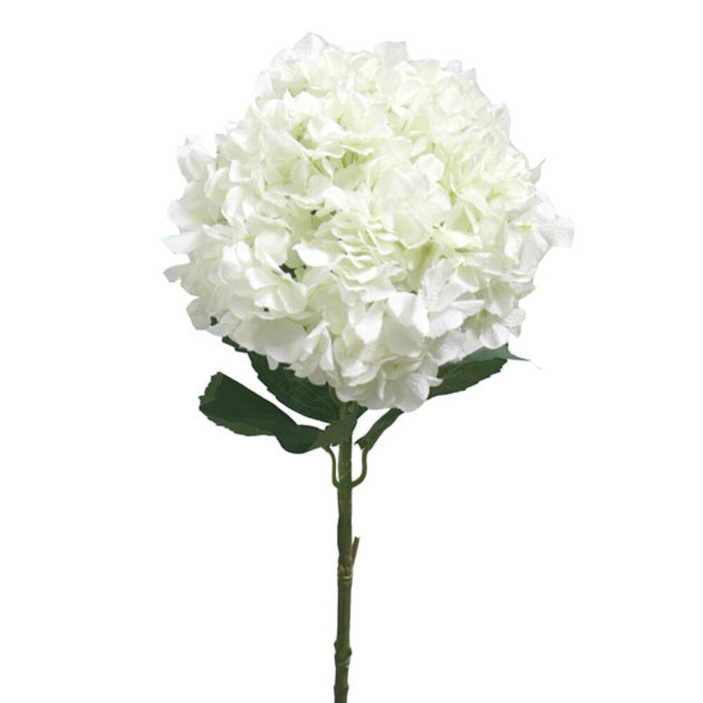 00-00-14550-Cream.jpg ΚΛΑΔΙ ΟΡΤΑΝΣΙΑ ΓΙΓΑΣ ΕΚΡΟΥ Φ28-Y90cm. 12/72ΚΙΒ - Image 1