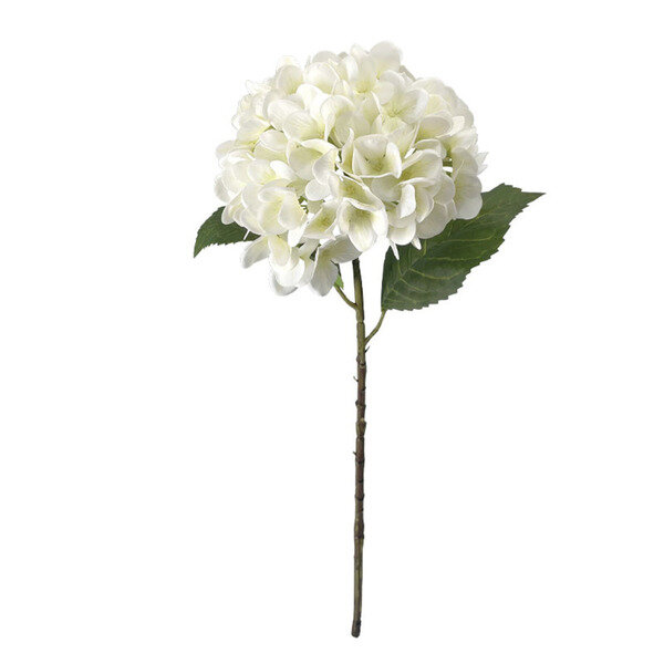 ΚΛΑΔΙ ΟΡΤΑΝΣΙΑΣ ΛΕΥΚΟ REAL TOUCH ΜΕ 2 ΦΥΛΛΑ - Φ22.5x55cm 24/240ΚΙΒ
