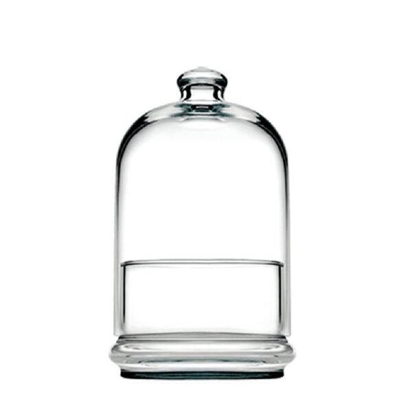DIS. MIDI PATISSERIE BOWL W/DOME 505ML H:19 D:11,8CM P/192 GB1.OB4
