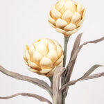 ΛΟΥΛΟΥΔΙ/ΚΛΑΔΙ, FOAM, ΑΓΚΙΝΑΡΑ, ΚΙΤΡΙΝΟ, 20x100εκ - Image 2