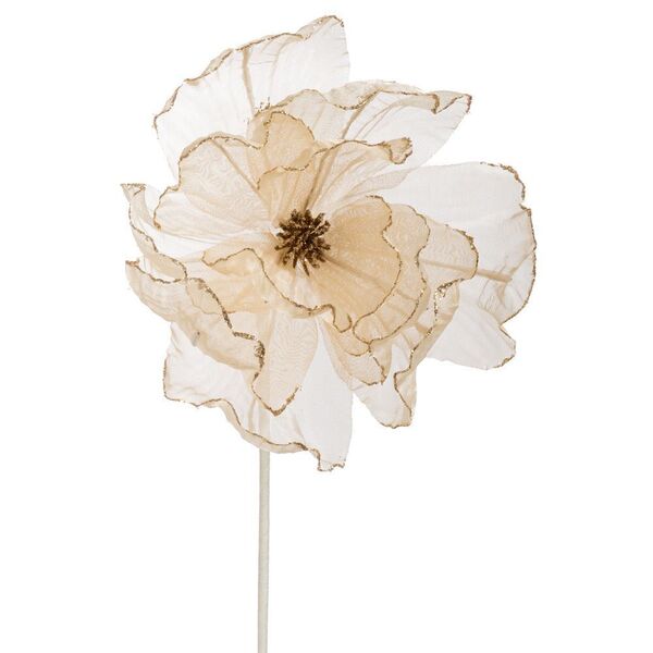 ΣΑΜΠΑΝΙ ΟΡΓΑΝΖΑ ΜΑΝΩΛΙΑ ΚΛΑΔΙ 60ΕΚ