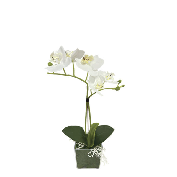 ΛΕΥΚΗ ΟΡΧΙΔΕΑ REAL TOUCH ΣΕ ΚΑΣΠΩ (2 ΚΛΑΔΙΑ, 5 ΑΝΘΗ) - Y30cm 6/ΚΙΒ