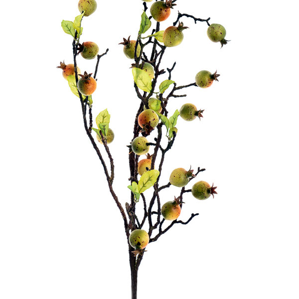 ΡΟΔΙ ΚΛΑΔΙ 2 ΧΡΩΜΑΤΑ