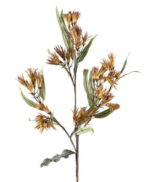 ΚΛΑΔΙ ΜΕ ΦΥΛΛΑ ΚΙΤΡΙΝΑ 87ΕΚ