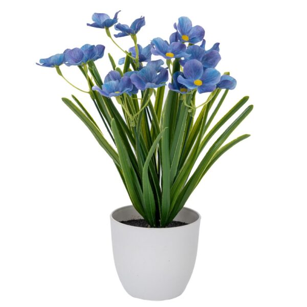 ΜΩΒ ΛΟΥΛΟΥΔΙΑ ΣΕ ΠΛΑΣΤΙΚΟ ΚΑΣΠΩ 10Χ9Χ30ΕΚ