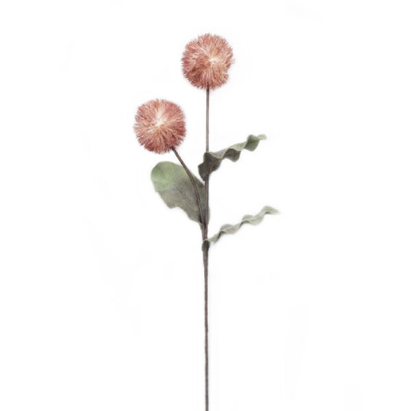 ΛΟΥΛΟΥΔΙ ΚΑΦΕ 90ΕΚ.