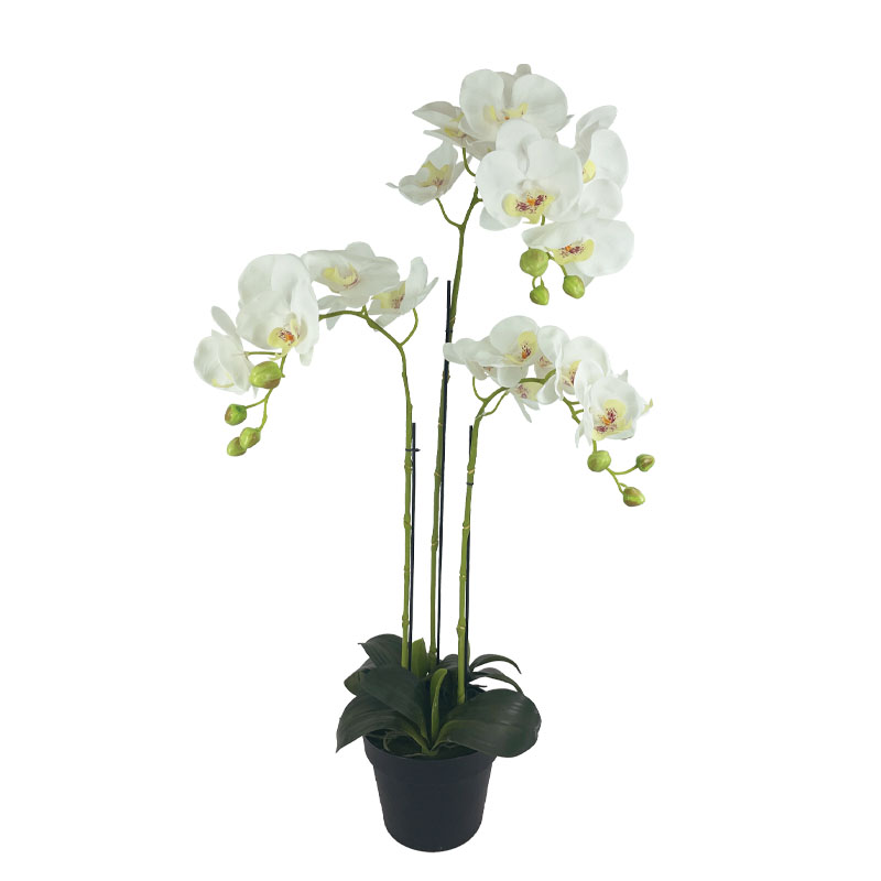 94381-1.jpg ΦΥΤΟ ΟΡΧΙΔΕΑ ΛΕΥΚΑ ΑΝΘΗ REAL TOUCH ΣΕ ΚΑΣΠΩ - Υ82cm 2/8ΚΙΒ - Image 1